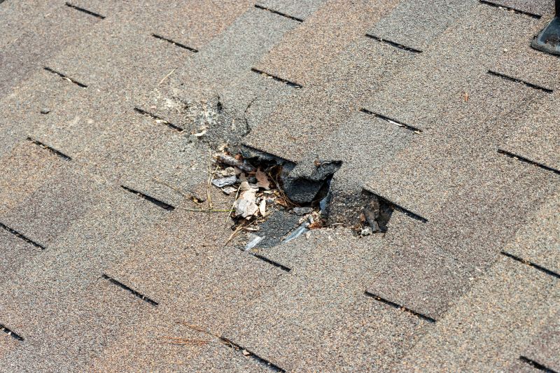 Shingles Replacement in Nashua, NH