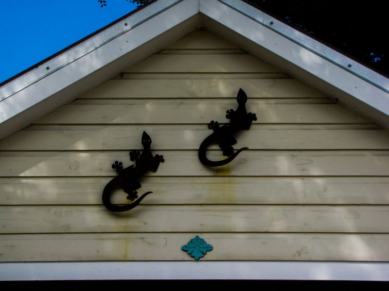 Before and After Shiplap Replacement